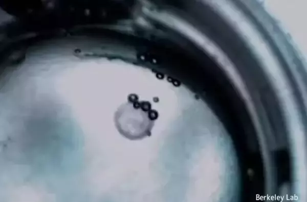 ”エサ”を食べて動く液体ロボットを開発。そこにエサがある限り働き続ける