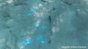 雪が光る謎の現象がロシアの北極圏で目撃される。その正体は？