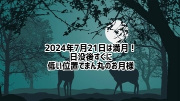 2024年7月21日は満月！月の出時、いつもよりオレンジ色に見えるかも