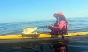 ギュってするよ。ペンギンが助けを求めてカヤックに飛び乗り、女性に抱きつく