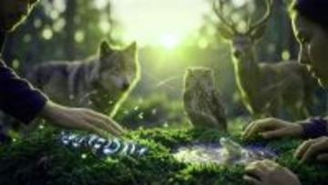 昆虫から人間まで、動物界では共通のリズムでコミュニケーションをとっていた