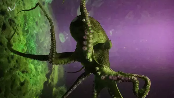 全長19mに及ぶ1億年前の巨大タコ、白亜紀最強の海の捕食者だった（日本研究）