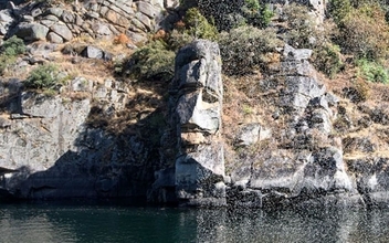 見えない顔が見えてしまう。ビジュアルスノウ症候群とは？