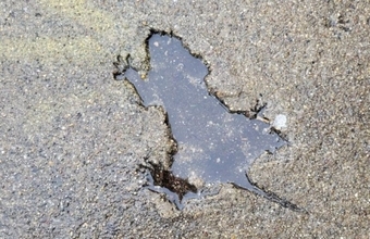 コンクリートに残された「ネズミの穴」の正体が、科学の力によってついに明らかに！