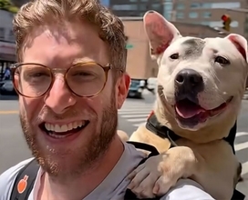 愛犬を背負って注目を集めた男性、今は保護犬を背負って家族探しの手助けをしている