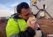 トルコの船で生まれた猫が乗組員に加わり、愛されすぎる日常を送る