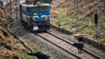 インドの機関士、列車を止めて線路上の水牛を安全に誘導したことで賞賛を浴びる