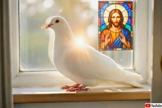 44歳で「飼育下で最も長生き」記録を打ち立てたハト、虹の橋へ旅立つ