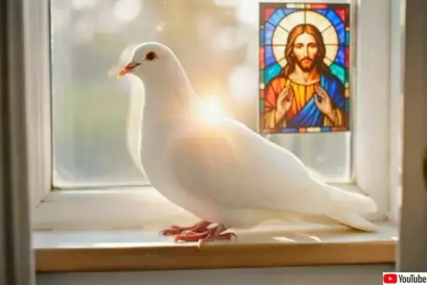 44歳で「飼育下で最も長生き」記録を打ち立てたハト、虹の橋へ旅立つ