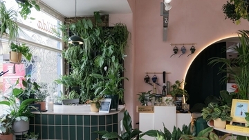 植物のお医者さん。イギリス初の観葉植物の治療専門病院がオープン