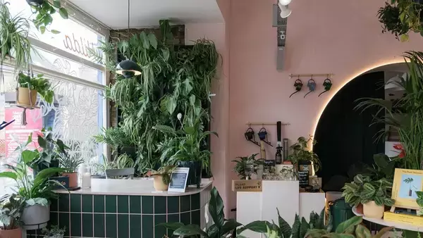 植物のお医者さん。イギリス初の観葉植物の治療専門病院がオープン