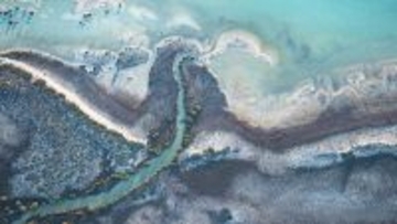 地球最古の生命の秘密が、オーストラリアの岩に生息する新種の古細菌に隠されていた
