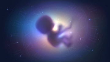 人工子宮で胎児を育てるAIロボット乳母が開発される。女性の胎内で育てる必要がなくなる？