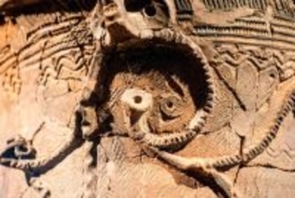 縄文人のルーツはひとつ。東日本と西日本で遺伝子のタイプが違う理由を解明