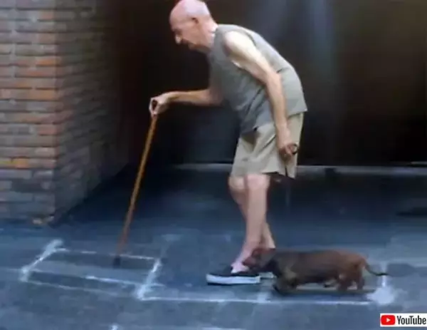 世界で最も遅いけど、最も心温まる犬の散歩風景。おじいさんを見守るように歩く