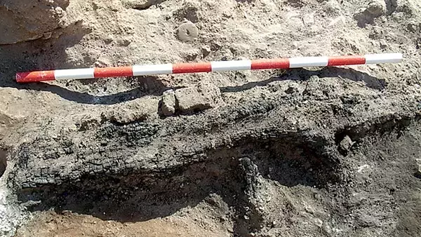 3500年前の織機をスペインで発見。青銅器時代の繊維革命と共同作業が明らかに