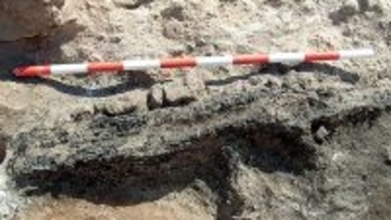 3500年前の織機をスペインで発見。青銅器時代の繊維革命と共同作業が明らかに