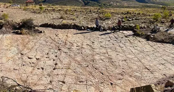 白亜紀の渋谷スクランブル交差点！ボリビアで1万6000以上の恐竜足跡密集地帯を発見