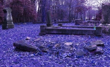 古い墓地から100点以上の遺体や遺骨を盗んだ男が逮捕される（アメリカ）