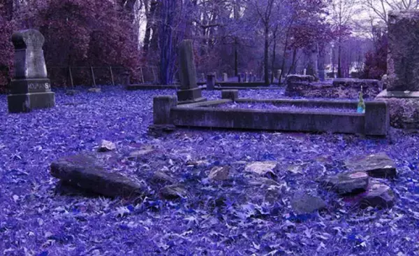 古い墓地から100点以上の遺体や遺骨を盗んだ男が逮捕される（アメリカ）