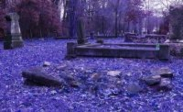 古い墓地から100点以上の遺体や遺骨を盗んだ男が逮捕される（アメリカ）