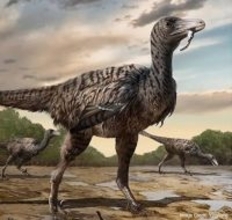中国で新種となる巨大な恐竜の足跡を発見。史上最大のラプトルの一種である可能性