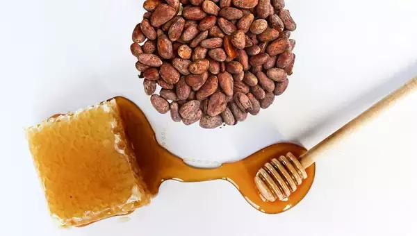 カカオ豆の廃棄物からチョコレート風味で健康効果の高いハチミツを開発