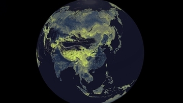 地球から太陽までの距離の10億倍！地下の菌糸ネットワークの規模が地図化で明らかに