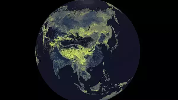 地球から太陽までの距離の10億倍！地下の菌糸ネットワークの規模が地図化で明らかに