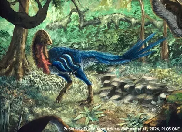 小惑星衝突前に恐竜は衰退していなかった。新種の恐竜の発見で裏付けられる