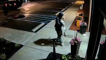 事故で大怪我をした愛犬に寄り添いながら、午前4時から病院が開くのを待ち続ける男性