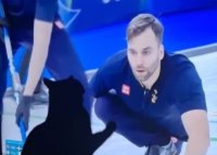 助太刀するにゃ！イタリアの猫がミラノ五輪カーリングで画面越しから妨害工作