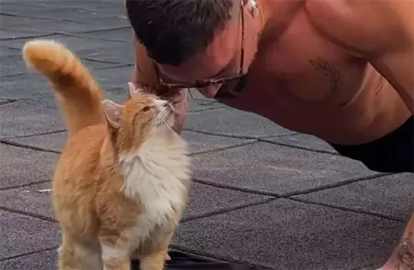 筋トレ中のヒゲメンを猫がロックオン！素敵な家族のできあがり