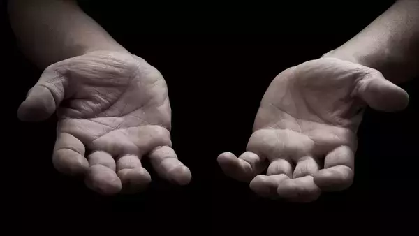 なぜ人類だけが利き手を持つのか。二足歩行と脳進化が解き明かす左右非対称の謎