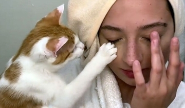 専属のメイクさんは猫！肉球でポンポンとキャットアイメイクのお手伝い