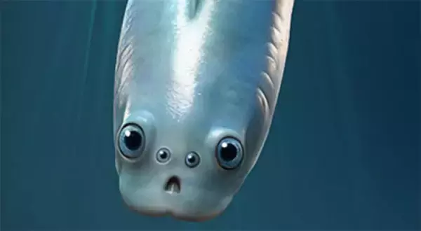 世界最古の脊椎動物には4つの目があった。2つの目は脳に入り込む進化を遂げていた