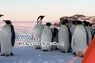 南極訓練キャンプ中にペンギンたちが押し寄せ、癒されまくる空軍兵たち