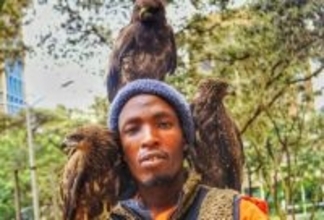保護鳥たちを頭に乗せて街を歩く、ケニアのバードマン