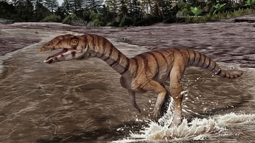 ワニの仲間なのに恐竜のよう。約2億年前の爬虫類の新種が発見される