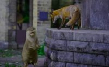 キツネとカワウソが夜の街で行動を共にする姿が監視カメラにとらえられる