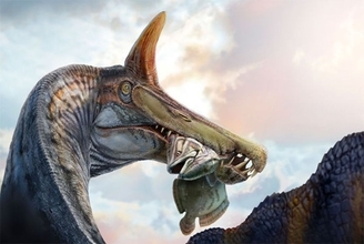 サハラ砂漠でスピノサウルス科の新種を発見。半月刀のような頭冠を持つ魚食の恐竜