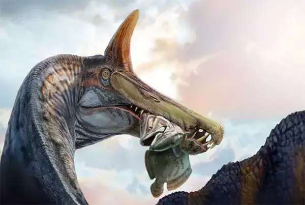 サハラ砂漠でスピノサウルス科の新種を発見。半月刀のような頭冠を持つ魚食の恐竜