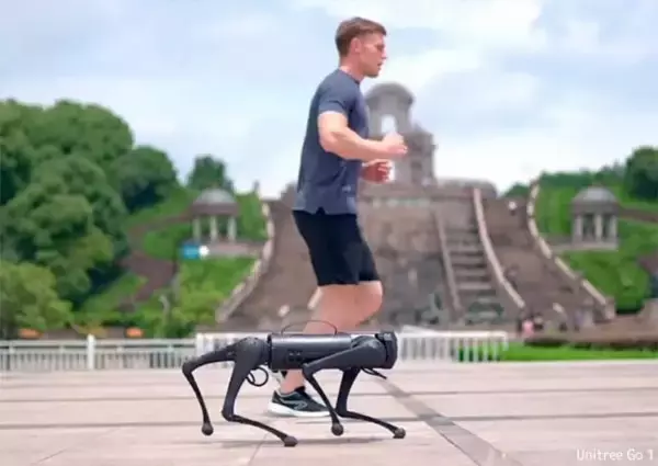 AIロボットペットが犬や猫に取って代わる可能性もあるが、長期的影響は未知数と専門家が警告