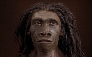 人類の先祖は2つの異なる種が同時にアフリカから旅だった可能性