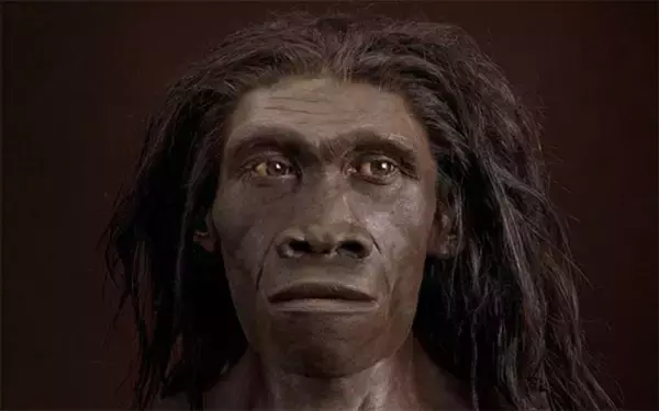 人類の先祖は2つの異なる種が同時にアフリカから旅だった可能性