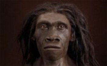 人類の先祖は2つの異なる種が同時にアフリカから旅だった可能性