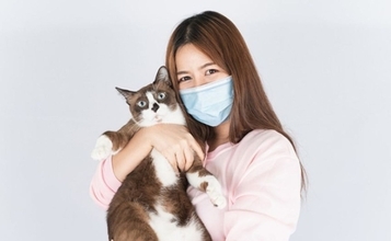 紫外線で猫アレルギーや花粉アレルギーを抑える方法を発見