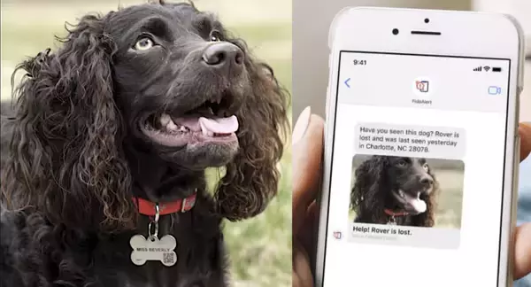日本にも欲しい！飼い主ネットワークで迷子のペットを探し出す無料システムで発見続出