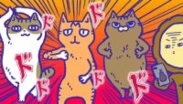 アレな生態系日常漫画「いぶかればいぶかろう」第31回：猫のシャッターチャンスあるある