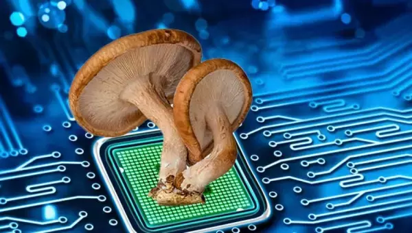 シイタケが記憶装置に。生きたキノコで動くコンピューターの開発が進行中
